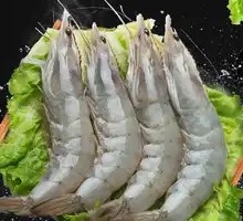 Large Shrimp