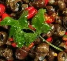 Spicy Water Snail