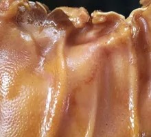 Pork Ear