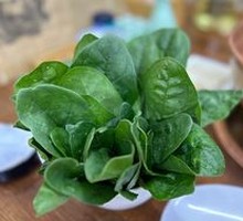 Spinach
