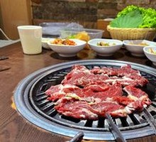 Large Meat Slice