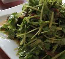 Spiced Cilantro Salad