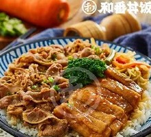Teriyaki Chicken and Beef Bowl