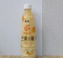 Mango Pudding