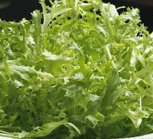 Eruca Salad
