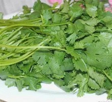 Cilantro