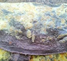 Two Egg Purple Rice Pancake
