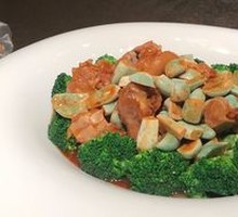 Squirrel Sea Bass