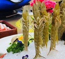 Live Shrimp