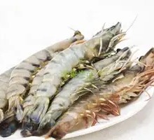 Large Shrimp