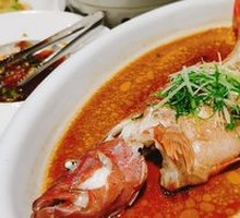 Hot Bridge Eastern Star Grouper