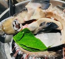 Yangtze Black Catfish