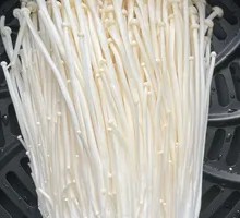 Enoki Mushroom