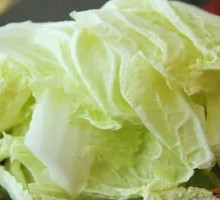 Napa cabbage