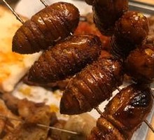 Roasted Cicada Nymph