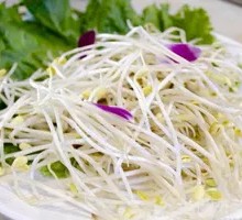 Mung Bean Sprouts