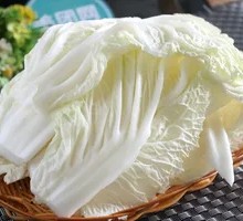 Napa cabbage