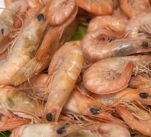 Live Lobster Shrimp