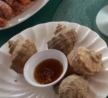 Giant Abalone