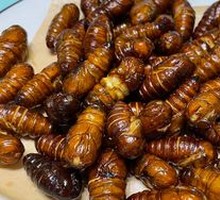 Fried Silkworm Pupae