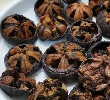 Sea Urchin