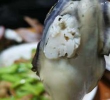 Oyster