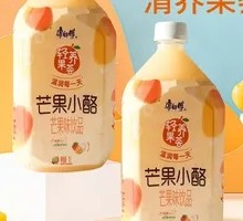 Mango Pudding
