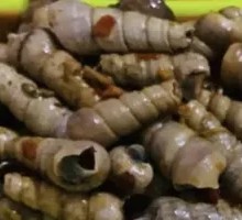 Rope Snail