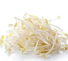 Bean sprouts