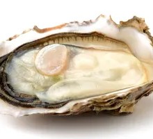 Original Oyster