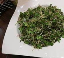 Sweet and Sour Radish Sprouts