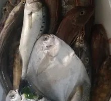 Braised Mixed Sea Fish
