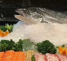 Sashimi