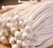 Seafood Mushroom