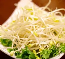 Mung Bean Sprouts