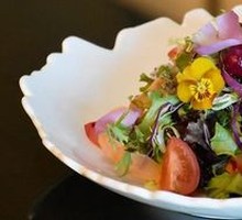 Spring Garden Vegetable Salad