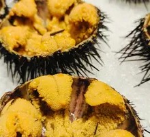 Steamed Sea Urchin