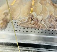 Signature Whole Squid