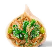 Leek and Pork Dumplings