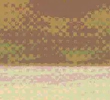 Stir-fried Local Chicken with Camellia Oil