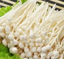 Enoki Mushroom