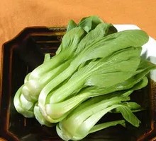 Oilseed lettuce