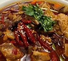 Imperial Firecracker Clam