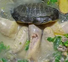 Steamed Softshell Turtle