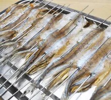 Horse Mackerel