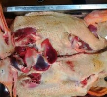 Goose and Sauerkraut Hot Pot