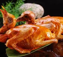 Divine Pigeon Before Wine