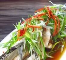 Scallion Oil Bass