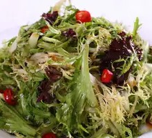 Wild Vegetable Salad