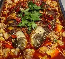 Spicy Frog and Grilled Fish